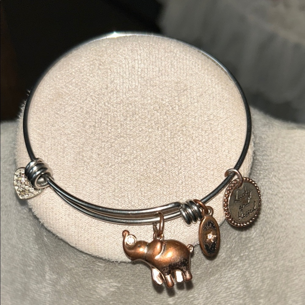 Unwritten Silver Bangle with Rose Gold Accents